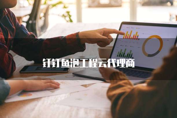 钉钉鱼泡工程云代理商