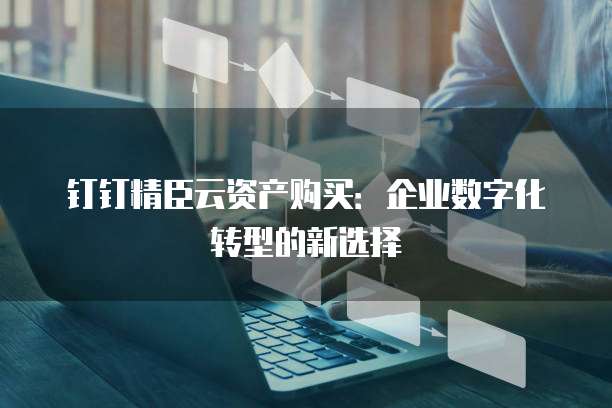 钉钉精臣云资产购买:企业数字化转型的新选择