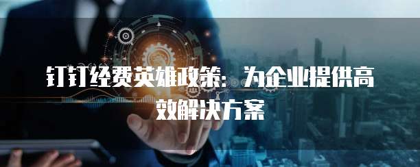 钉钉经费英雄政策:为企业提供高效解决方案