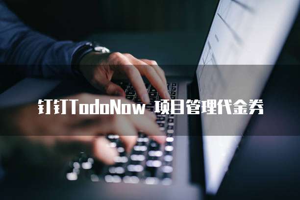 钉钉TodoNow 项目管理代金券