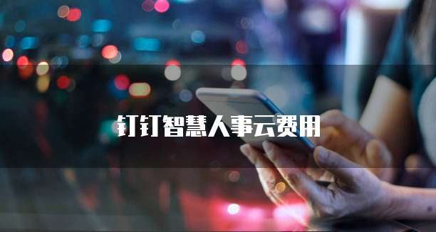 钉钉智慧人事云费用