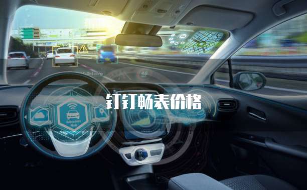 钉钉畅表价格