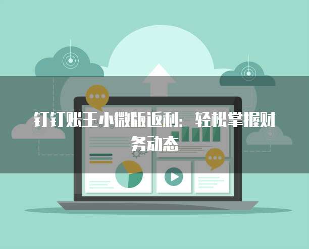 钉钉账王小微版返利:轻松掌握财务动态