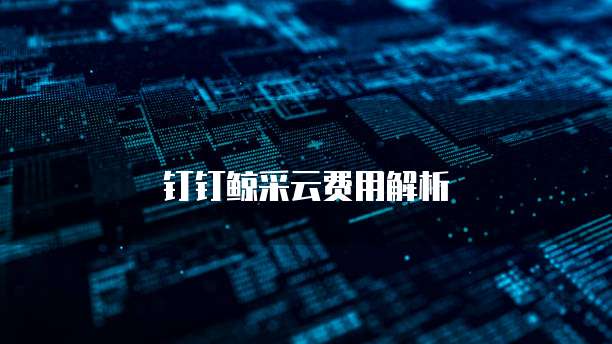 钉钉鲸采云费用解析