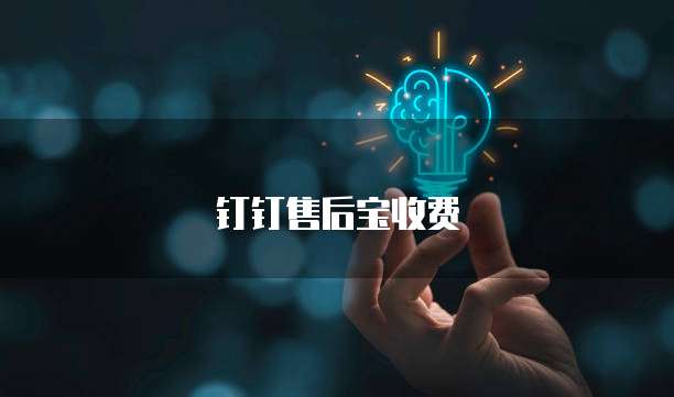 钉钉售后宝收费