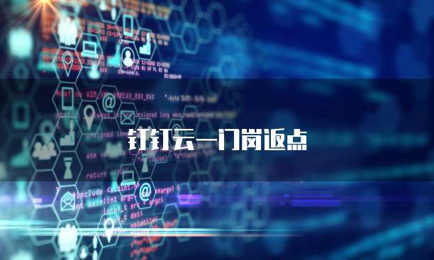 钉钉云一门岗返点