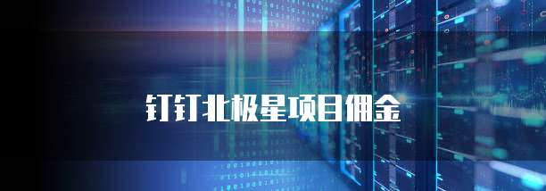 钉钉北极星项目佣金