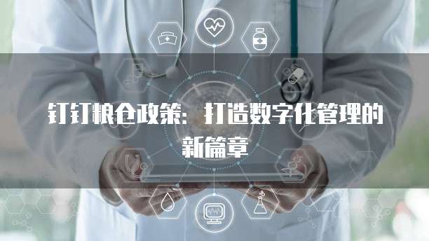 钉钉粮仓政策:打造数字化管理的新篇章