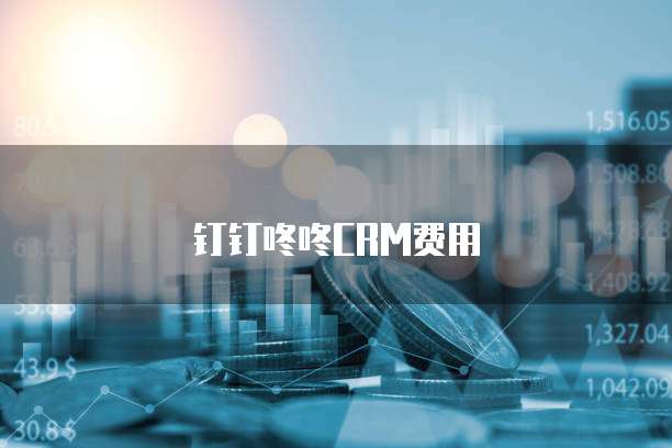 钉钉咚咚CRM费用