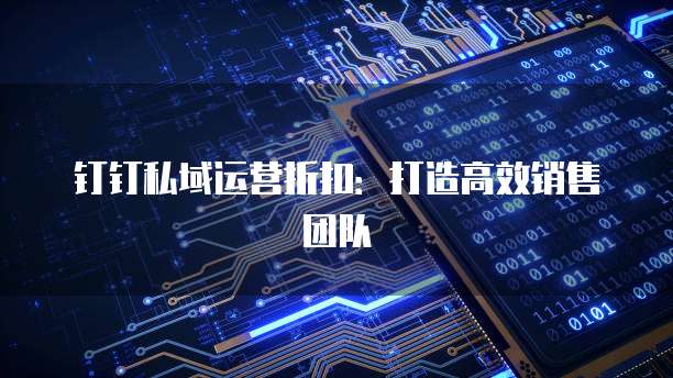钉钉私域运营折扣：打造高效销售团队