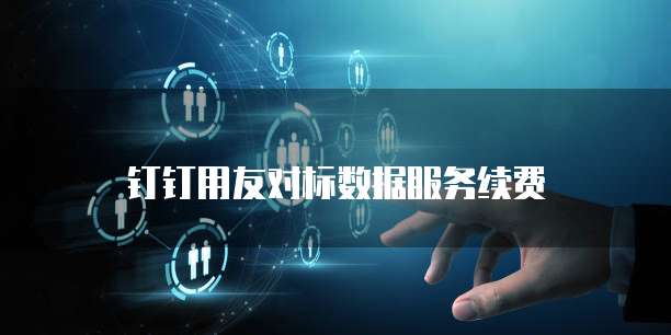 钉钉用友对标数据服务续费