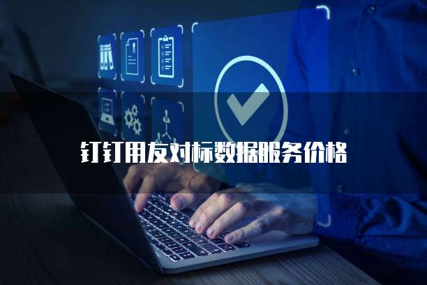 钉钉用友对标数据服务价格
