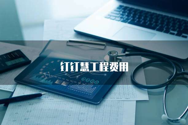 钉钉慧工程费用