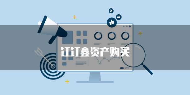 钉钉鑫资产购买
