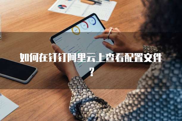 如何在钉钉阿里云上查看配置文件?