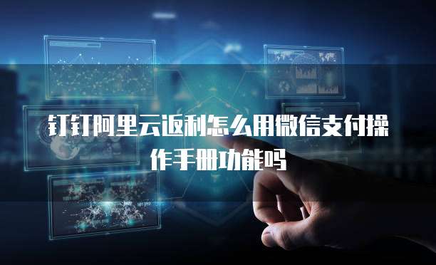 钉钉阿里云返利怎么用微信支付操作手册功能吗