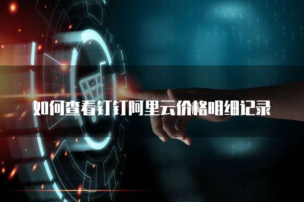 如何查看钉钉阿里云价格明细记录