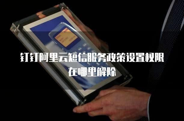 钉钉阿里云短信服务政策设置权限在哪里解除