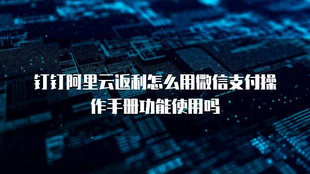钉钉阿里云返利怎么用微信支付操作手册功能使用吗