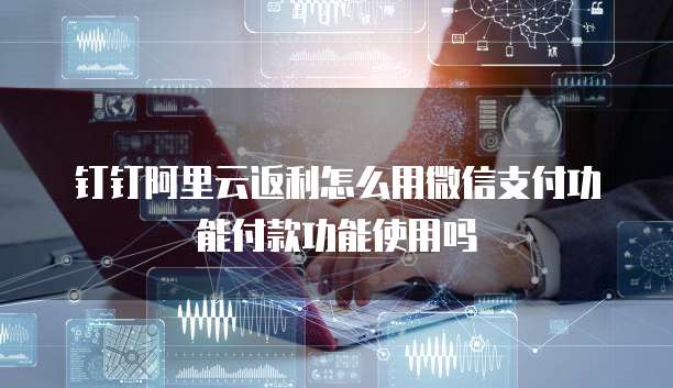 钉钉阿里云返利怎么用微信支付功能付款功能使用吗