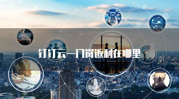 钉钉云一门岗返利在哪里