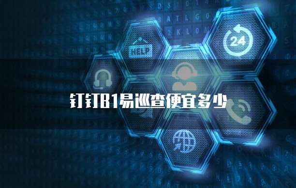钉钉B1易巡查便宜多少