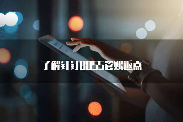 了解钉钉BOSS管账返点