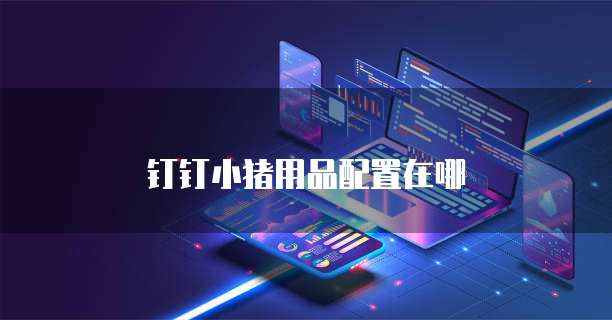 钉钉小猪用品配置在哪