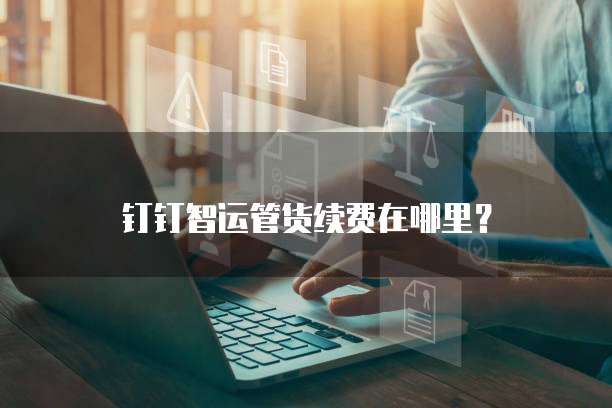 钉钉智运管货续费在哪里?