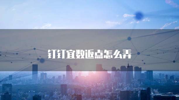 钉钉宜数返点怎么弄
