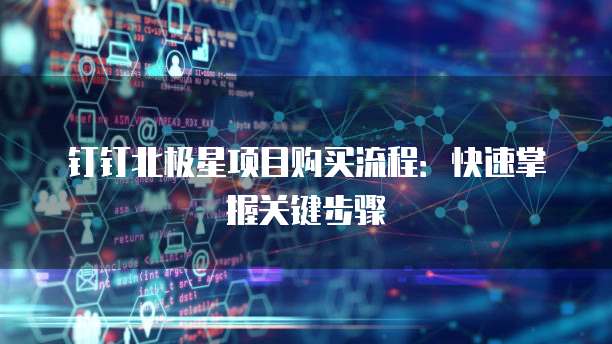 钉钉北极星项目购买流程:快速掌握关键步骤