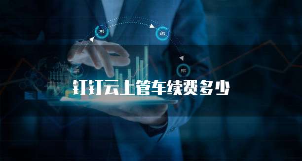 钉钉云上管车续费多少