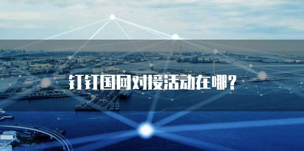 钉钉国网对接活动在哪？