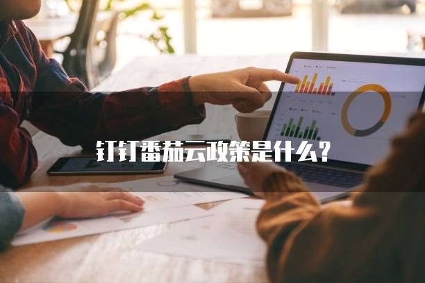 钉钉番茄云政策是什么?