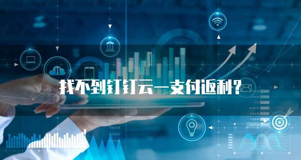 找不到钉钉云一支付返利?