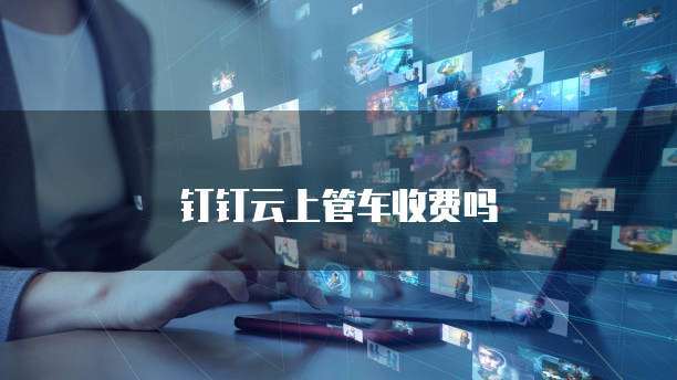 钉钉云上管车收费吗