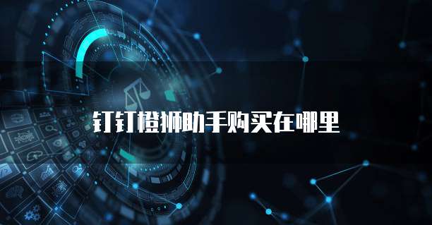钉钉橙狮助手购买在哪里