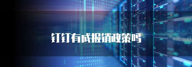 钉钉有成报销政策吗
