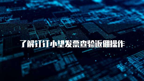 了解钉钉小望发票查验返佣操作