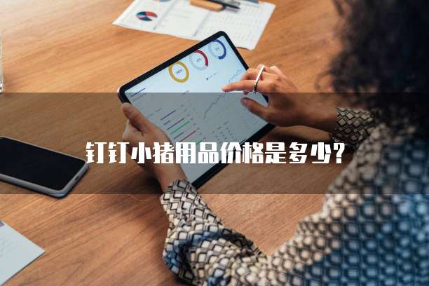 钉钉小猪用品价格是多少?