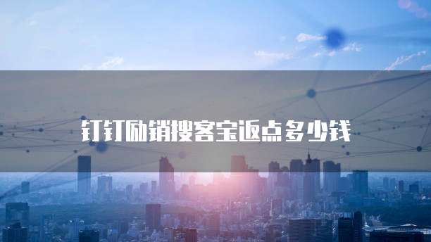 钉钉励销搜客宝返点多少钱
