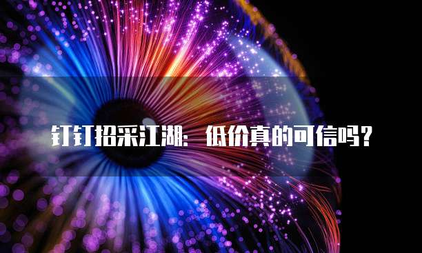 钉钉招采江湖:低价真的可信吗?