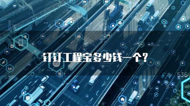 钉钉工程宝多少钱一个?