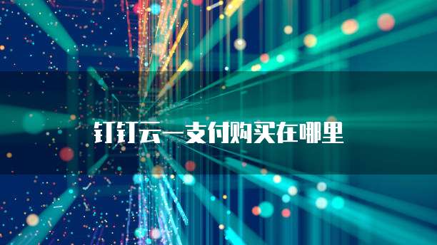 钉钉云一支付购买在哪里