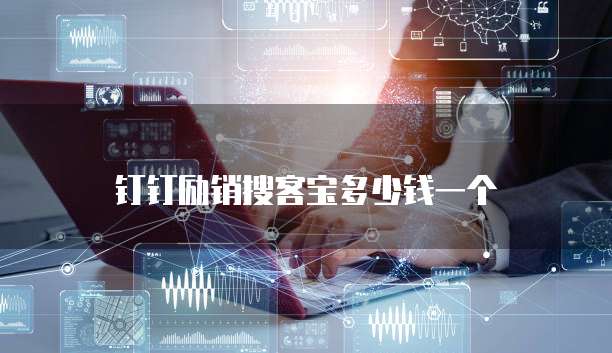 钉钉励销搜客宝多少钱一个