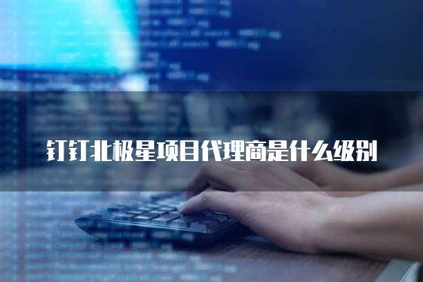 钉钉北极星项目代理商是什么级别