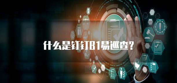 什么是钉钉B1易巡查?