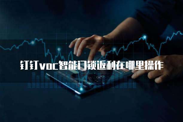 钉钉voc智能门锁返利在哪里操作
