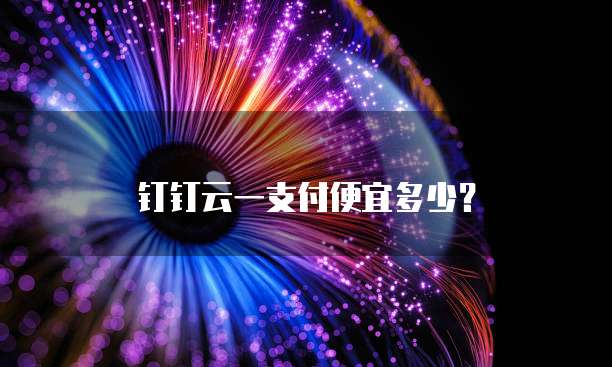 钉钉云一支付便宜多少?