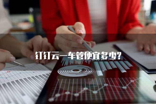 钉钉云一车管便宜多少?
